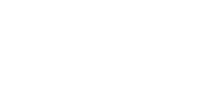 LNF Brewing
